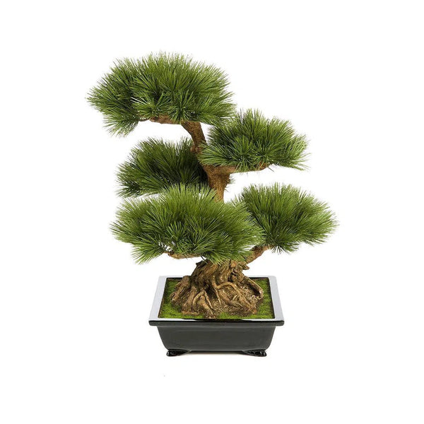 Kunstpflanzen | Künstlicher Bonsai - Pinus, 60 cm | Wie echt