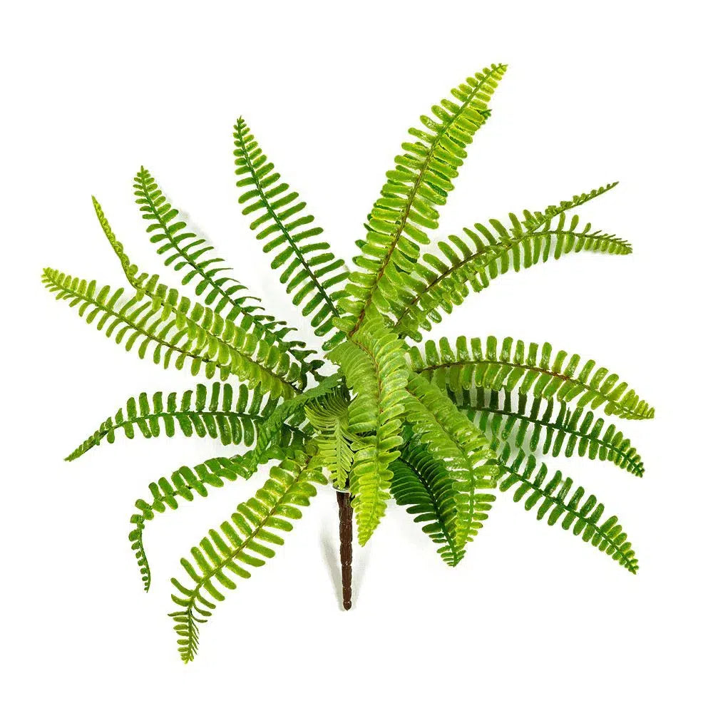 Künstlicher Boston Farn - Badura, 30 cm
