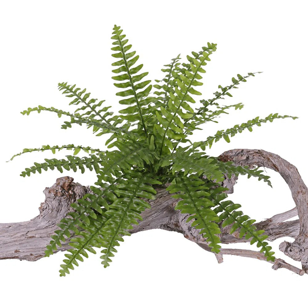 Künstlicher Boston Farn mit UV-Schutz - Finn, 30 cm