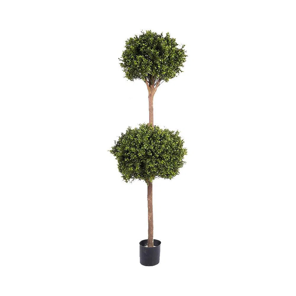 Künstlicher Buchsbaum - Pascal, 165 cm