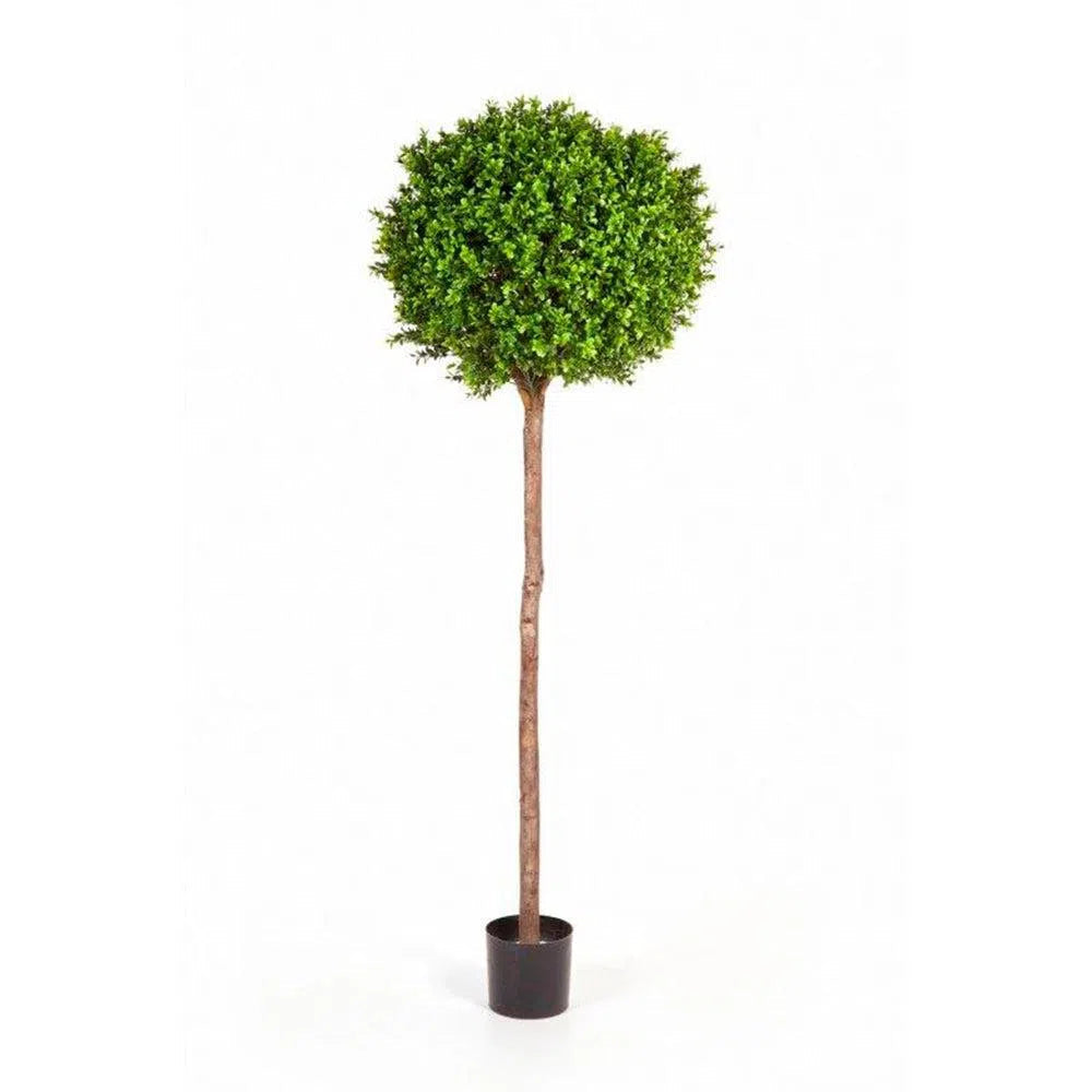 Künstlicher Buchskugelbaum mit Echtholzstamm - Roman, 105 - 170 cm