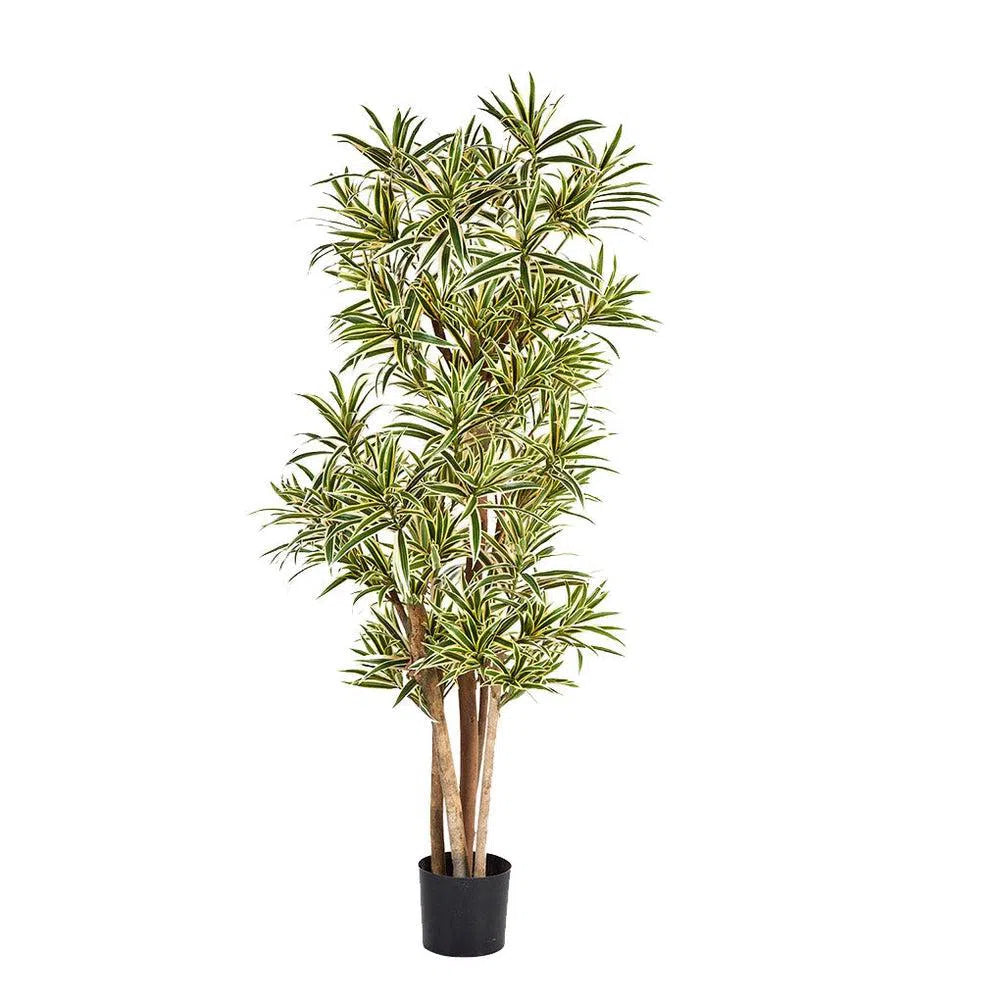 Künstlicher Drachenbaum - Amari, 120 - 180 cm