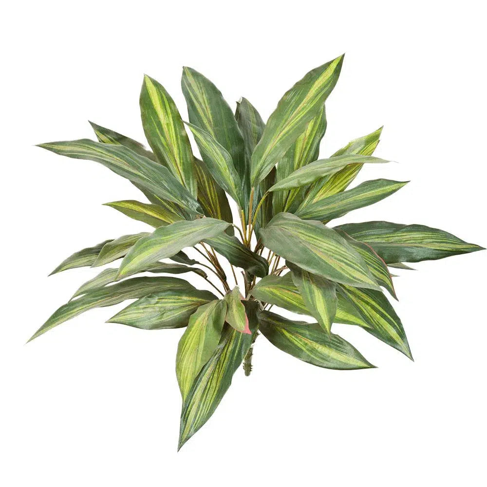 Künstlicher Drachenbaum - Daisy, 50 cm