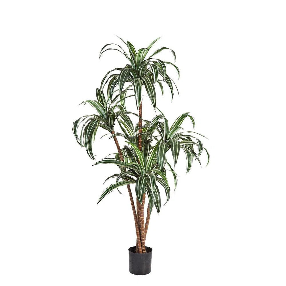 Künstlicher Drachenbaum - Tayo, 120 cm