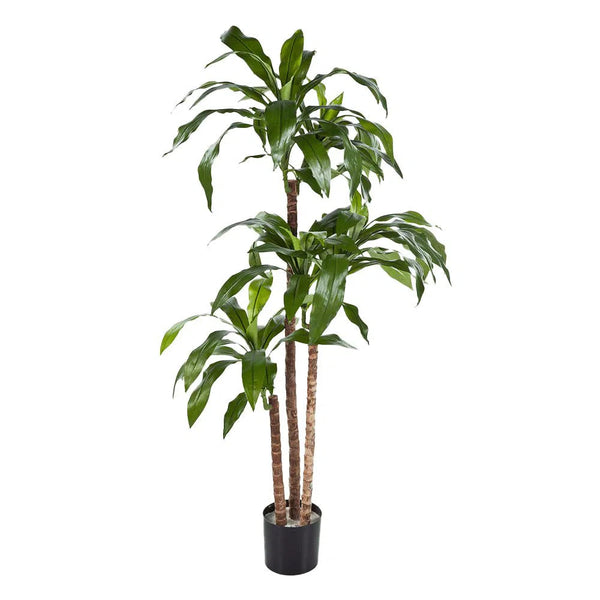 Kunstpflanzen | Künstlicher Drachenbaum mit Echtholzstamm
