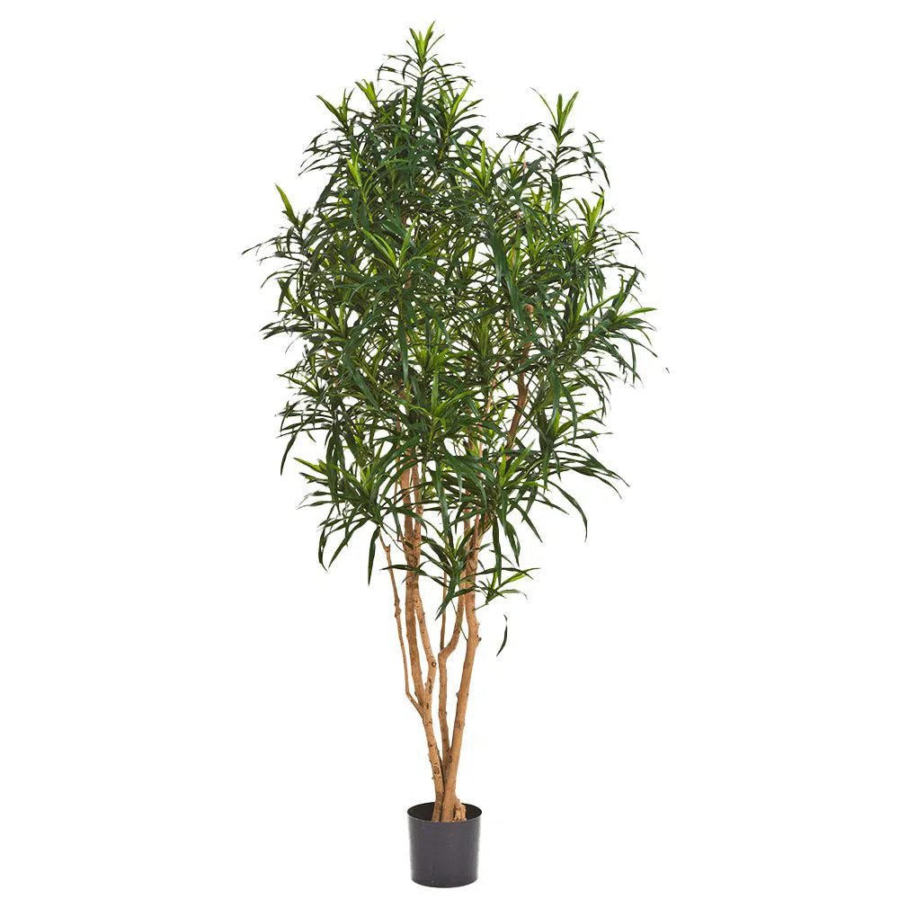 Künstlicher Drachenbaum mit Echtholzstamm - Simba, 120 cm