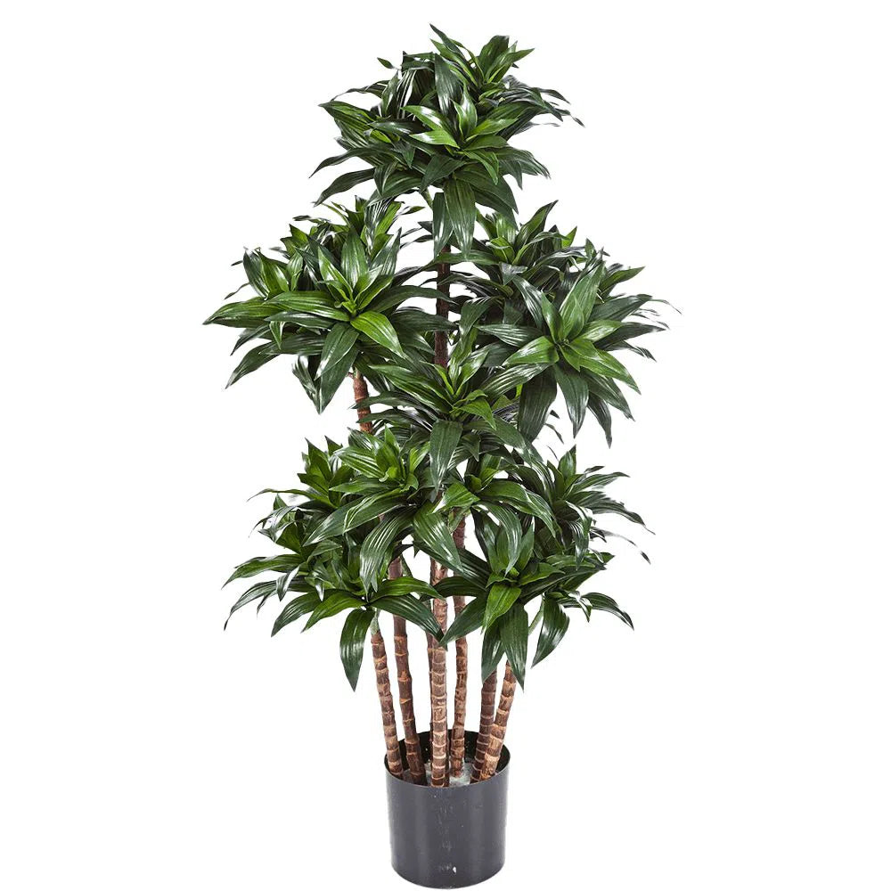 Künstlicher Drachenbaum mit Echtholzstamm - Tamika, 120 cm