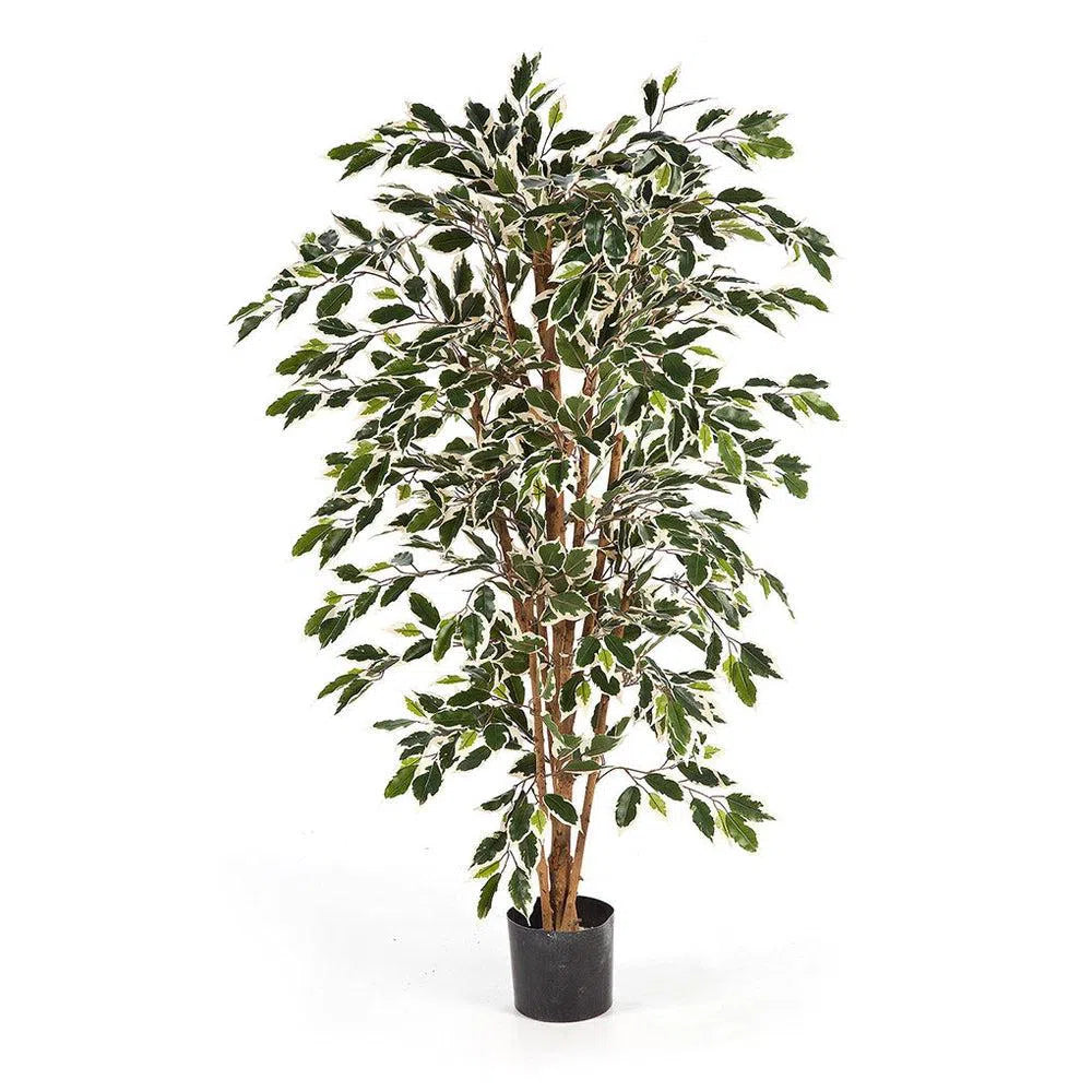 Künstlicher Ficus Benjamina - Bandana, 120 - 210 cm