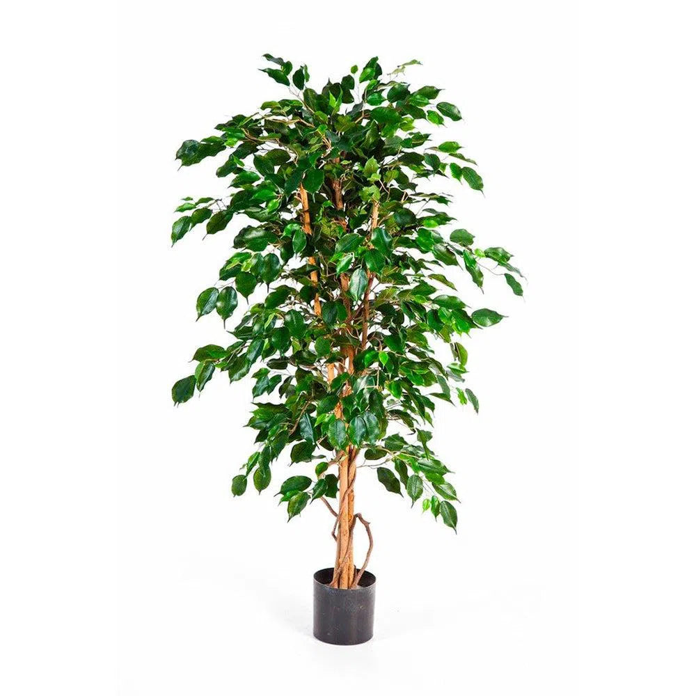Künstlicher Ficus Benjamina - Bansa, 120 - 210 cm