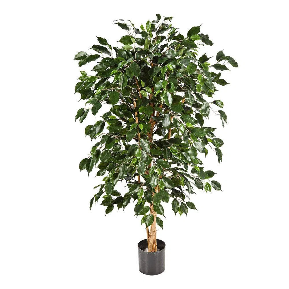 Künstlicher Ficus Benjamina - Bemitha, 150 - 210 cm