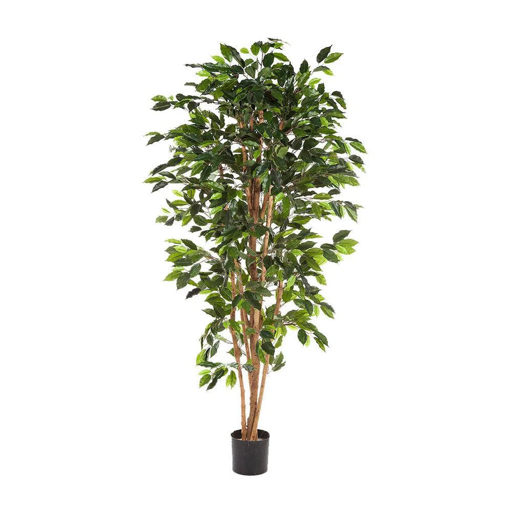 Künstlicher Ficus Benjamina mit Echtholzstamm - Badu, 120 - 150 cm