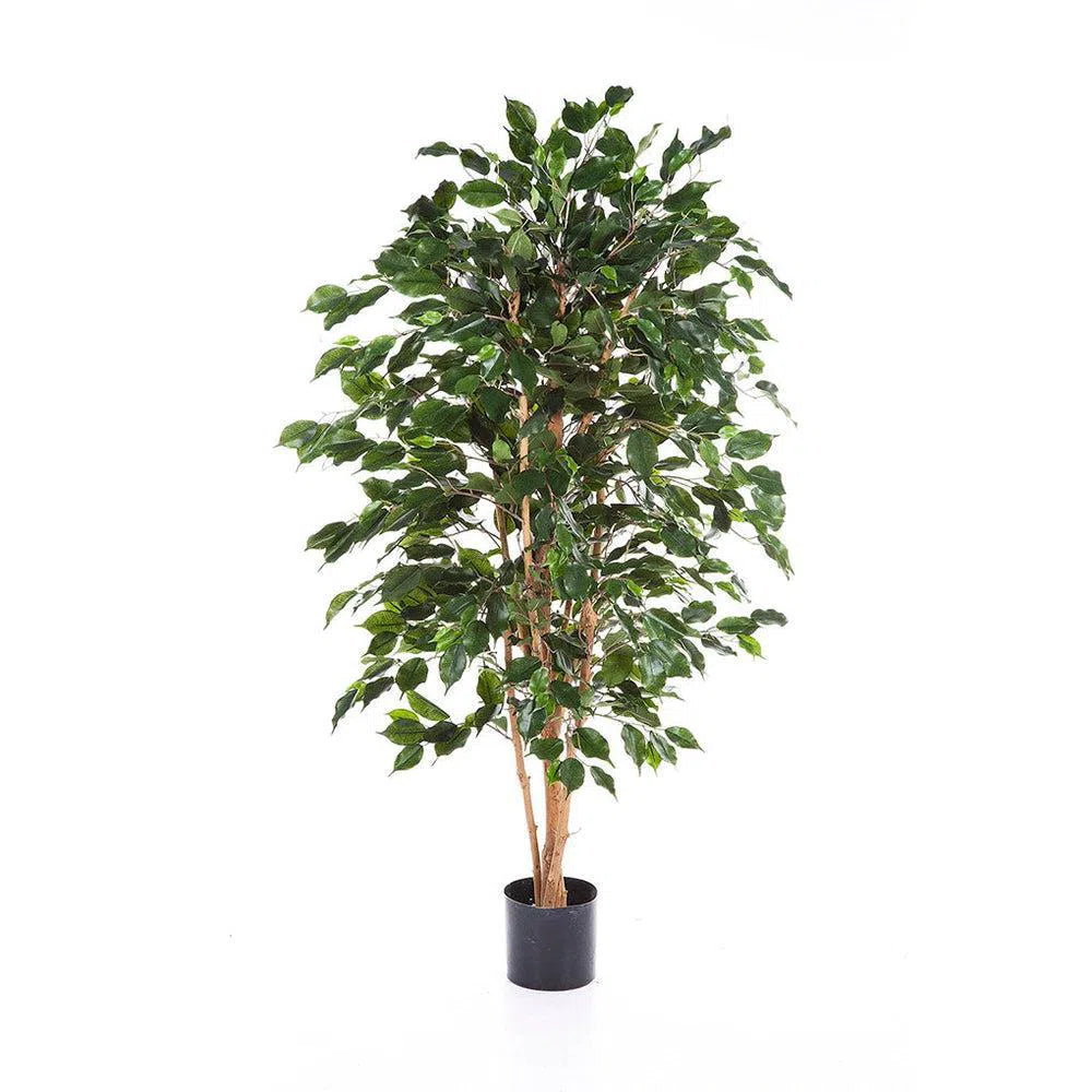 Künstlicher Ficus Benjamina mit Echtholzstamm - Bansa, 120 - 210 cm