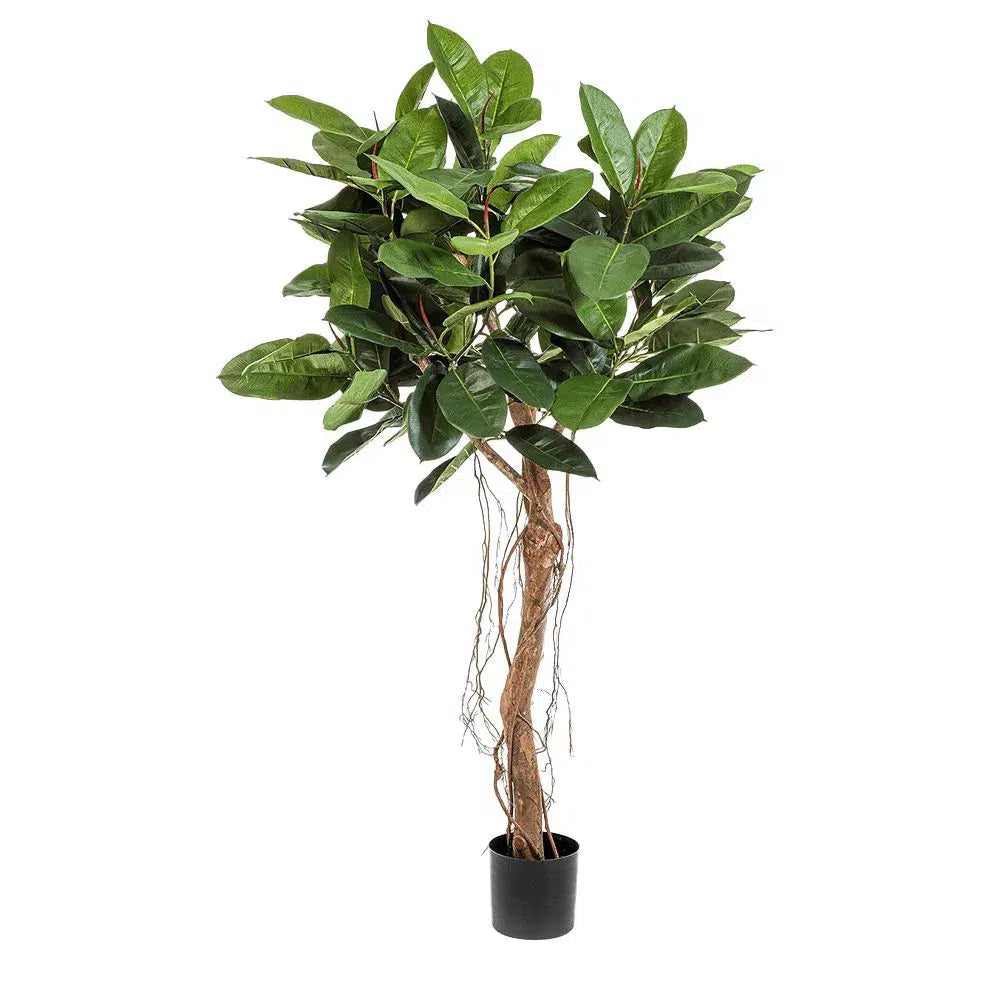 Künstlicher Ficus Elastica Gummibaum mit Echtholzstamm - Luana, 155 cm