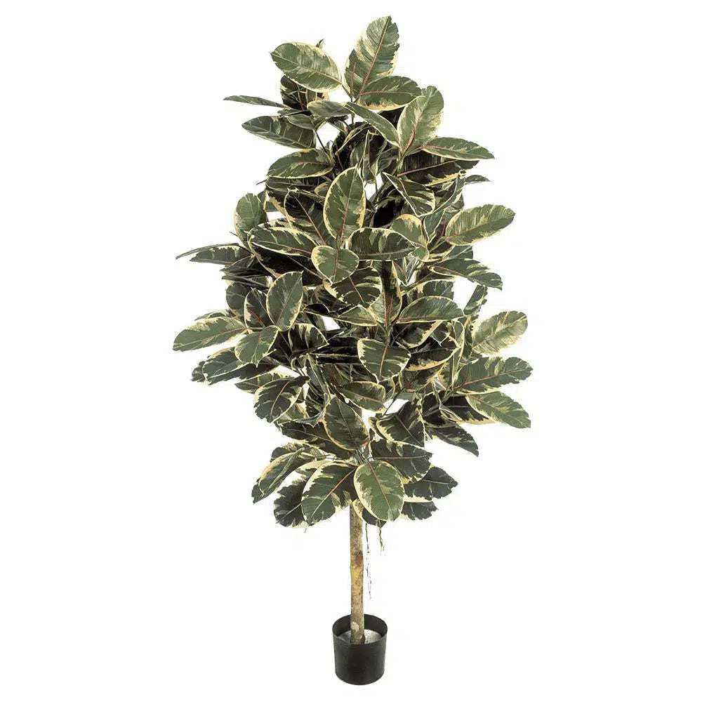 Künstlicher Ficus Elastica mit Echtholzstamm - Capo, 140 - 210 cm