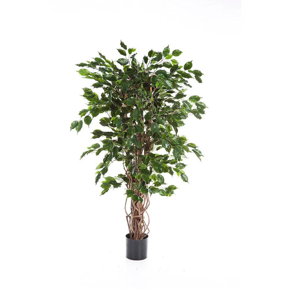 Künstlicher Ficus Liane - Bhima, 150 - 210 cm