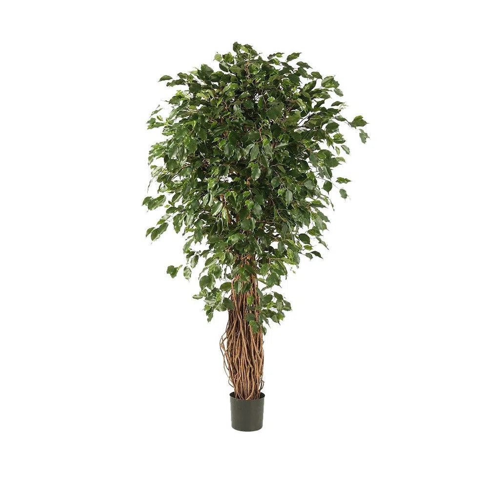 Künstlicher Ficus Liane Deluxe - Artus, 120 - 300 cm