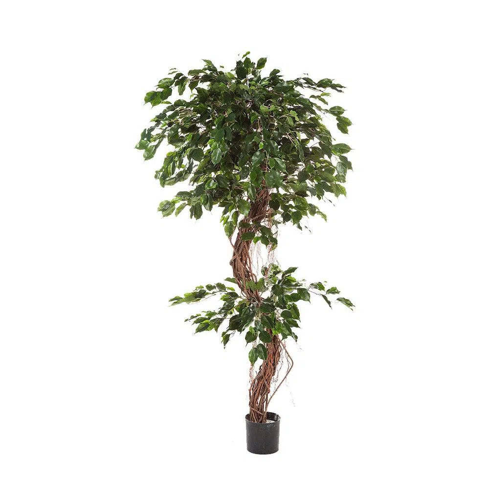 Künstlicher Ficus Liane Deluxe - Guenevere, 180 - 210 cm