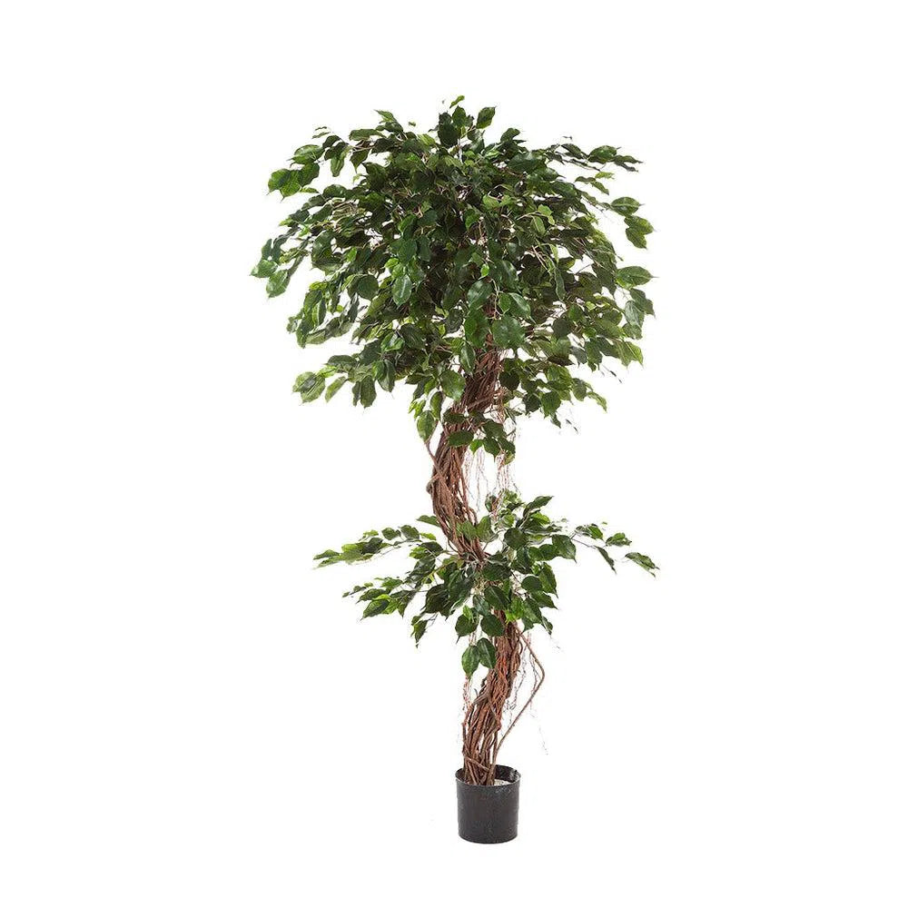 Künstlicher Ficus Liane Deluxe mit Echtholzstamm - Guenevere, 180 cm