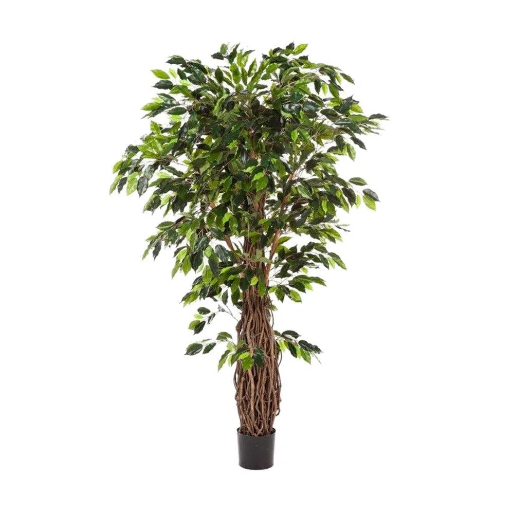 Künstlicher Ficus Liane Deluxe mit Echtholzstamm - Julius, 180 - 270 cm