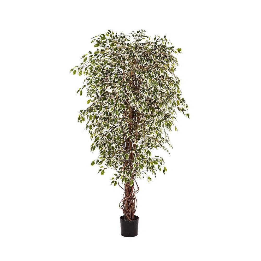 Künstlicher Ficus Liane - Dipa, 90 - 210 cm