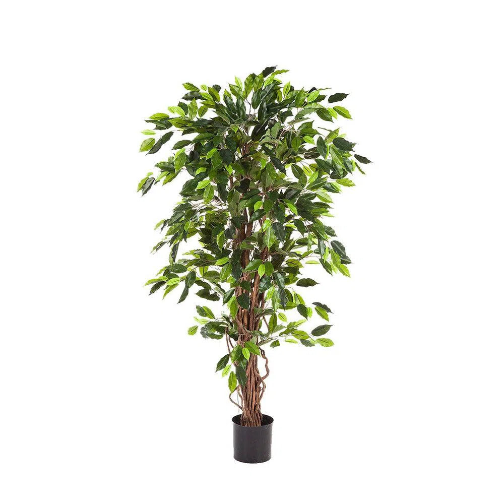 Künstlicher Ficus Liane mit Echtholzstamm - Baghira, 120 - 210 cm