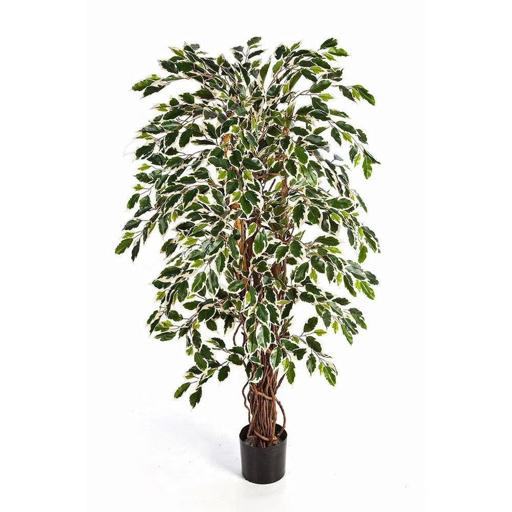 Künstlicher Ficus Liane mit Echtholzstamm - Balu, 120 - 180 cm