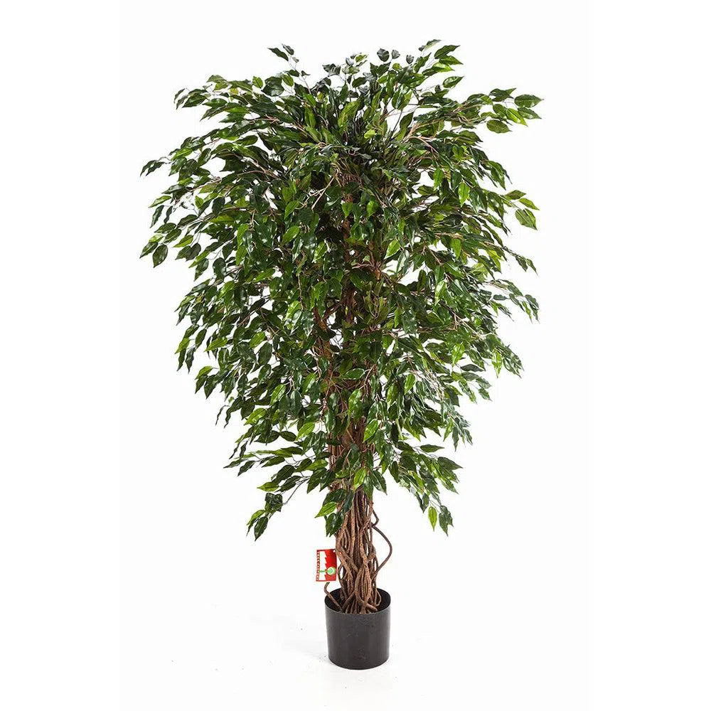 Künstlicher Ficus Liane mit Echtholzstamm - Dhara, 90 - 210 cm