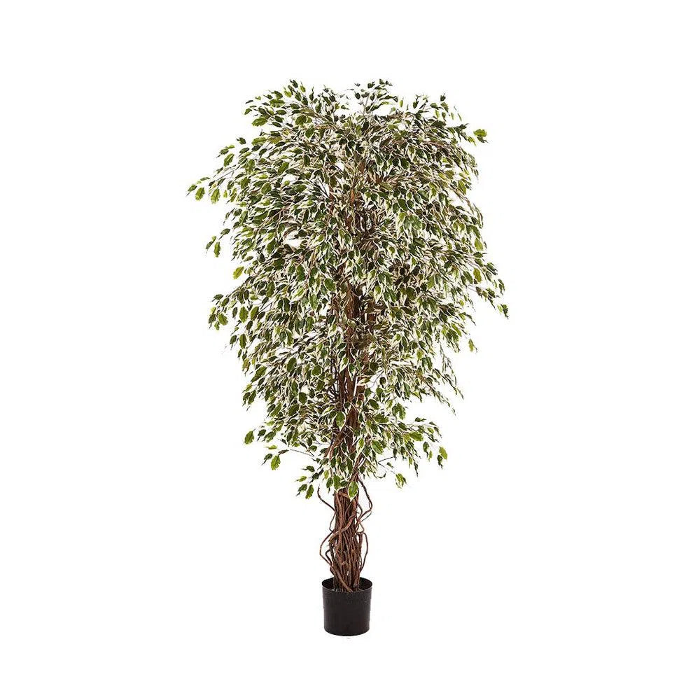 Künstlicher Ficus Liane mit Echtholzstamm - Dipa, 120 cm