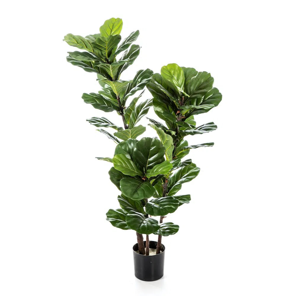 Künstlicher Ficus Lyrata - Chuma, 130 cm