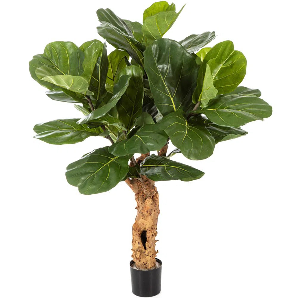 Künstlicher Ficus Lyrata mit Echtholzstamm - Rani, 110 cm