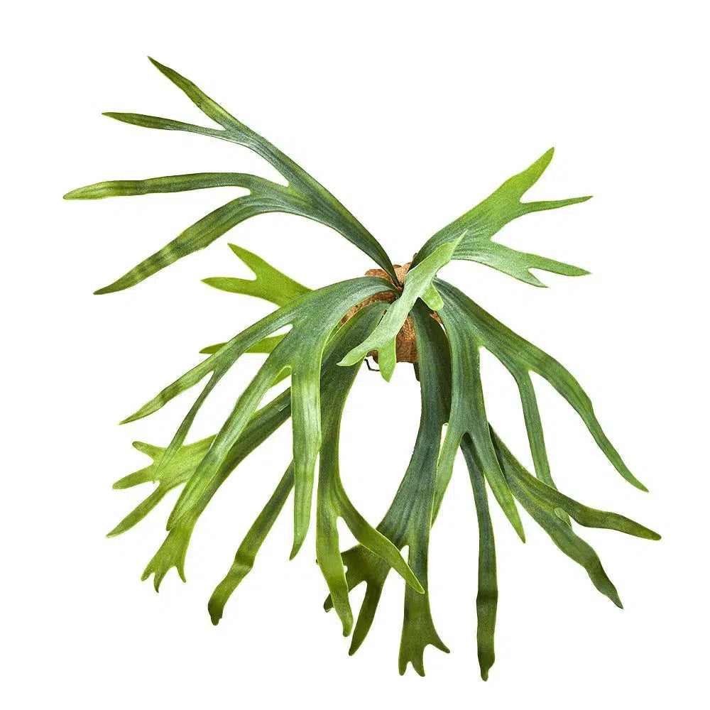 Künstlicher Geweihfarn - Gabor, 50 cm