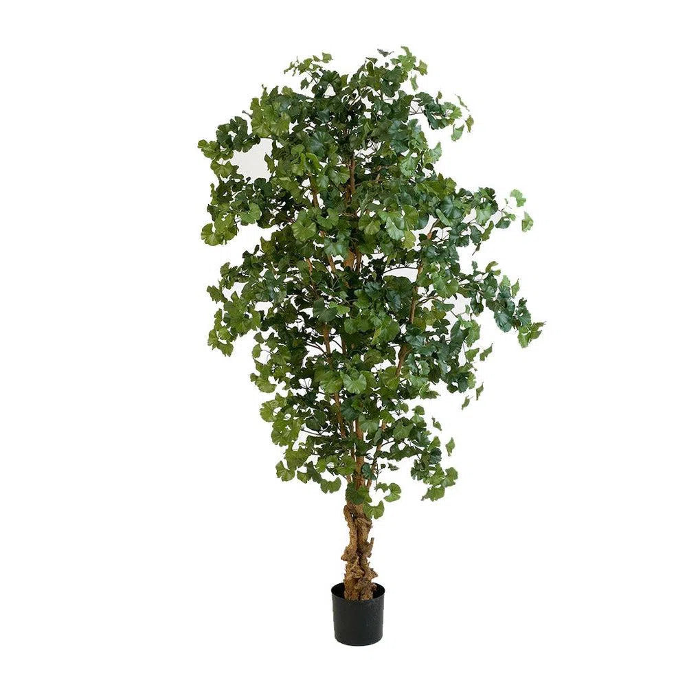 Künstlicher Gingko Baum mit Echtholzstamm - Ying, 210 cm