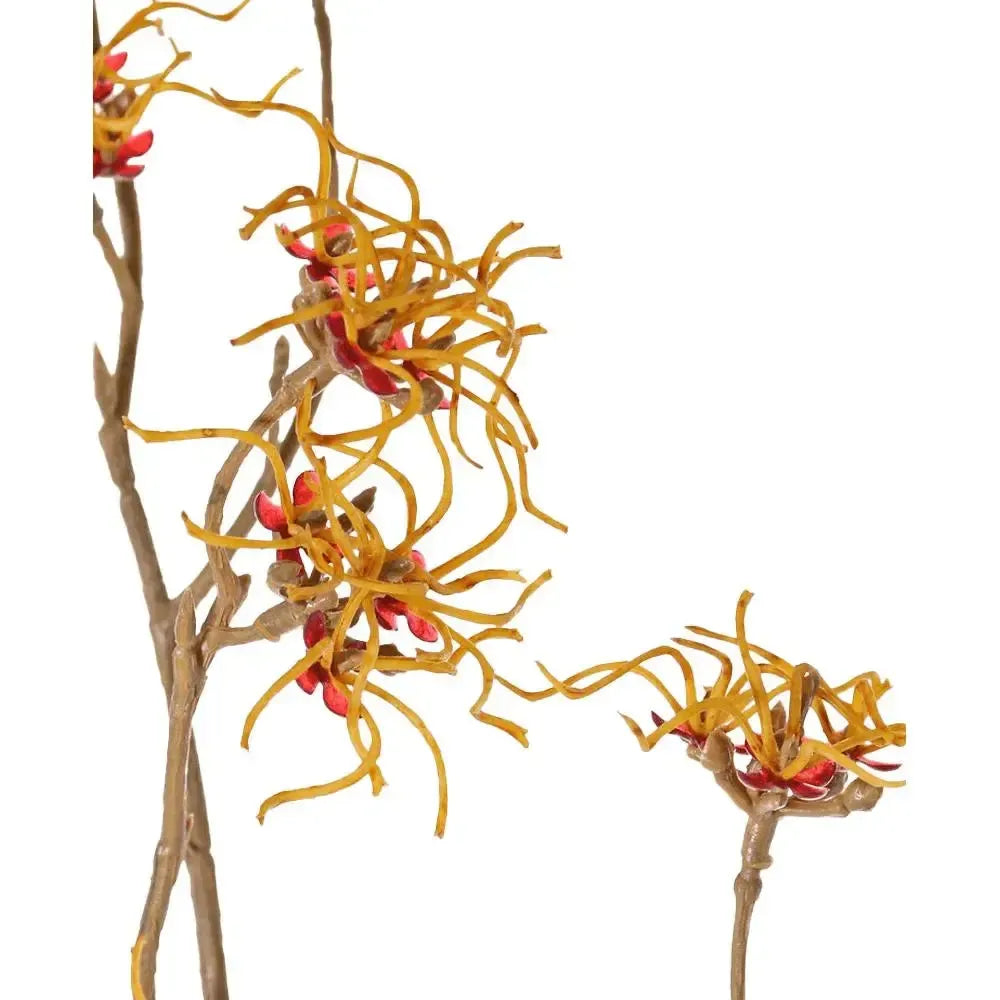 Künstlicher Hamamelis Zweig (Zaubernuss) - Hermine, 68 cm
