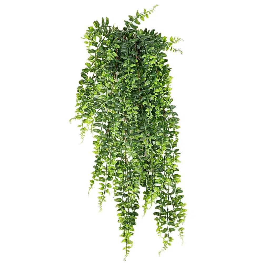 Künstliche Farne online kaufen, Kunstfarne – Flora Studio