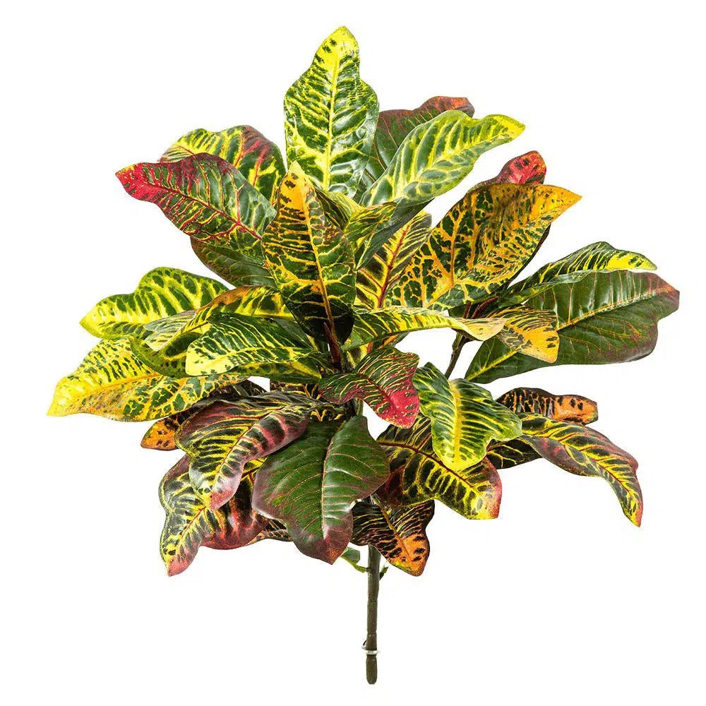 Künstlicher Kroton - Conny, 40 - 55 cm