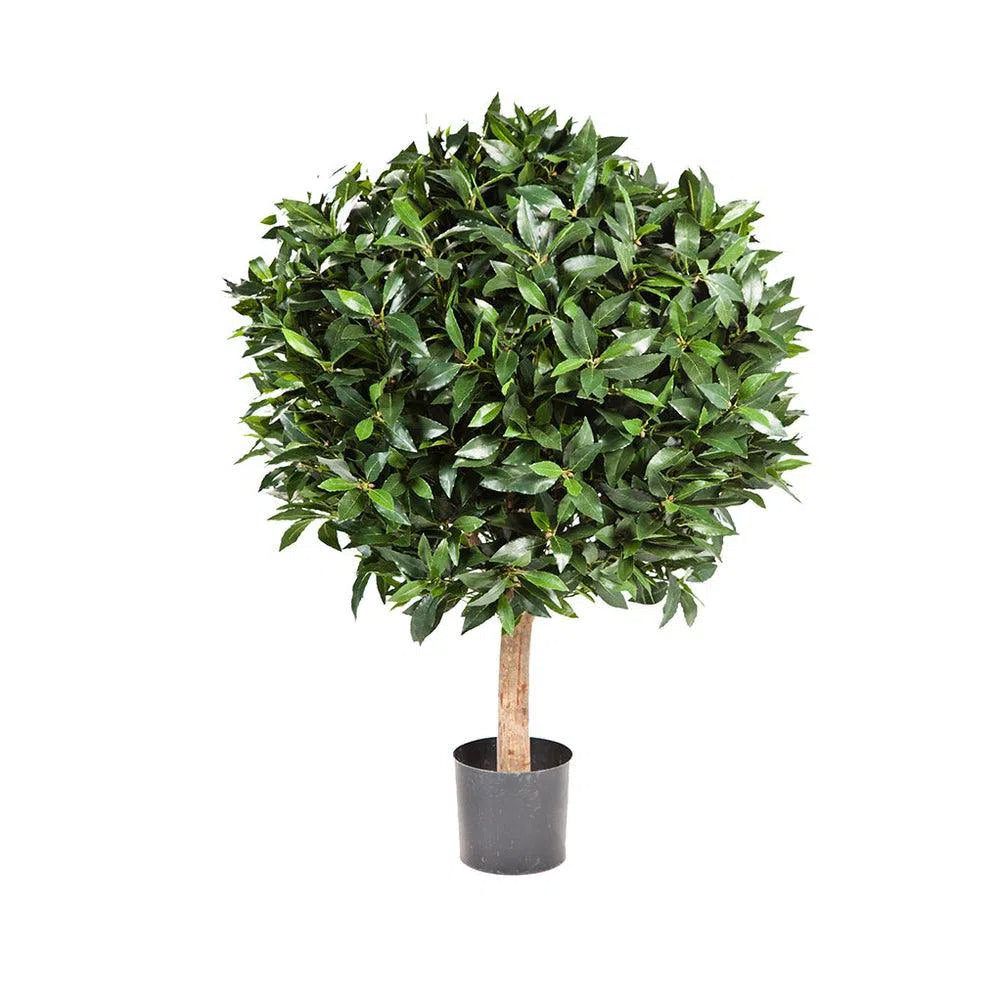 Künstlicher Lorbeerbaum mit Echtholzstamm - Edoardo, 35 - 100 cm