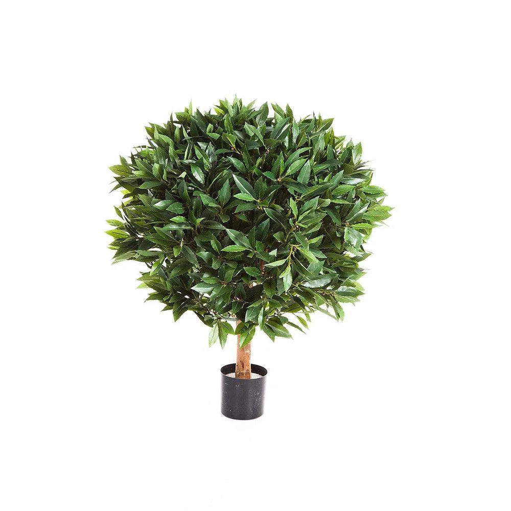 Künstlicher Lorbeerbaum mit Echtholzstamm - Edoardo, 35 - 100 cm