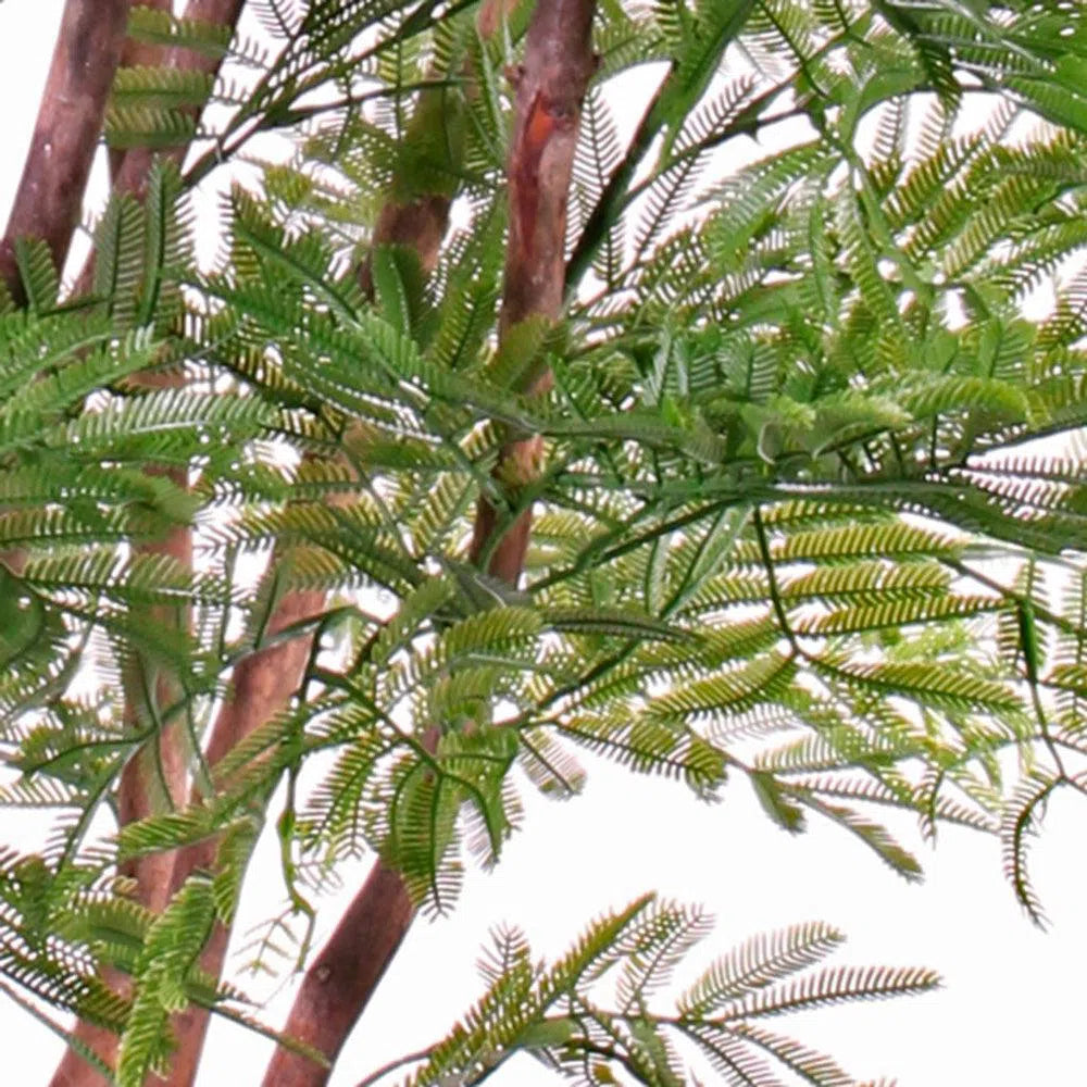 Künstlicher Mimosenbaum mit UV-Schutz - Alice, 110 cm