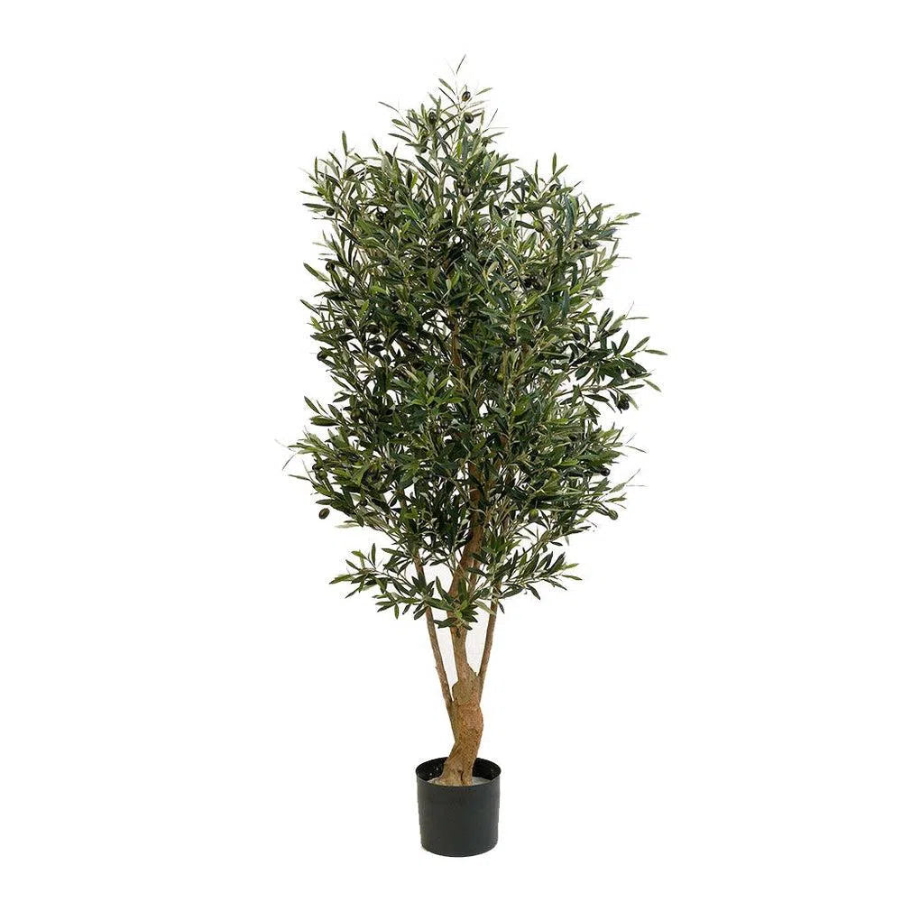 Künstlicher Olivenbaum mit Früchten und Echtholzstamm - Abraxas, 120 - 180 cm