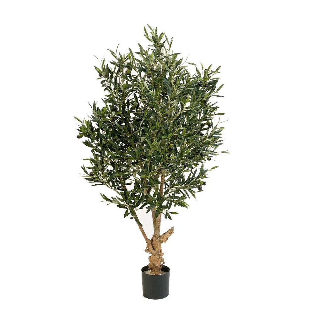 Künstlicher Olivenbaum mit Früchten und Echtholzstamm - Abraxas, 120 - 180 cm