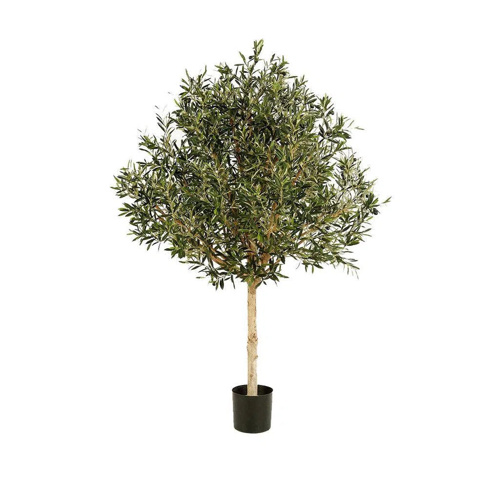 Künstlicher Olivenbaum mit Früchten und Echtholzstamm - Adonis, 150 - 210 cm