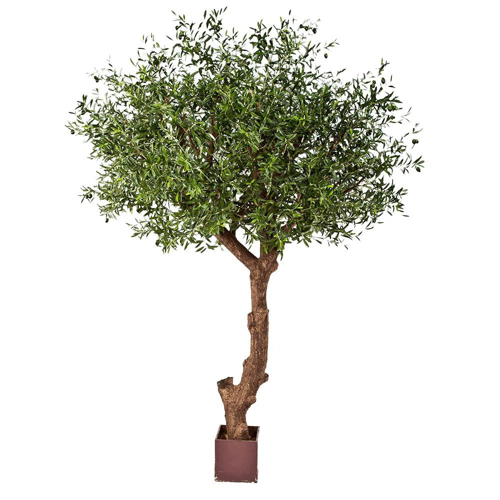 Künstlicher Olivenbaum mit Früchten und Echtholzstamm - Venedig, 270 cm