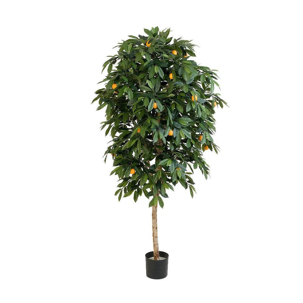 Künstlicher Orangenbaum mit Echtholzstamm - Gaia, 110 - 170 cm