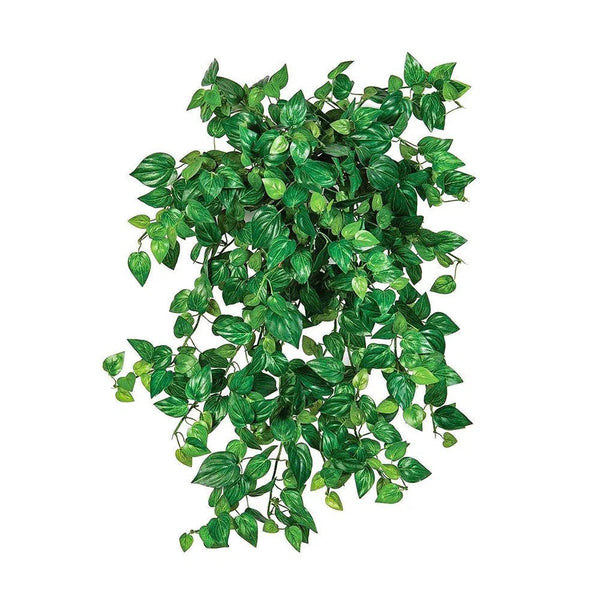 philodendron künstlich Kunstpflanzen | Künstlicher Philodendron, 50 cm | Wie echt