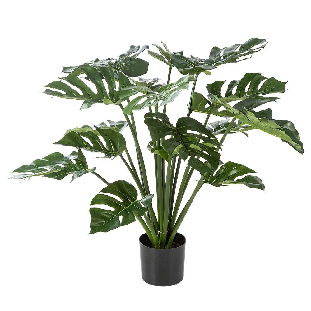 Künstlicher Philodendron - Enzo, 80 cm