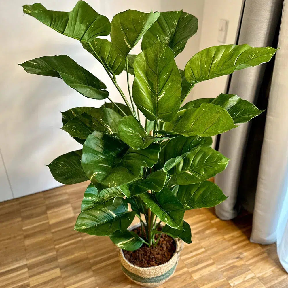 Künstlicher Pothos - Piet, 120 cm