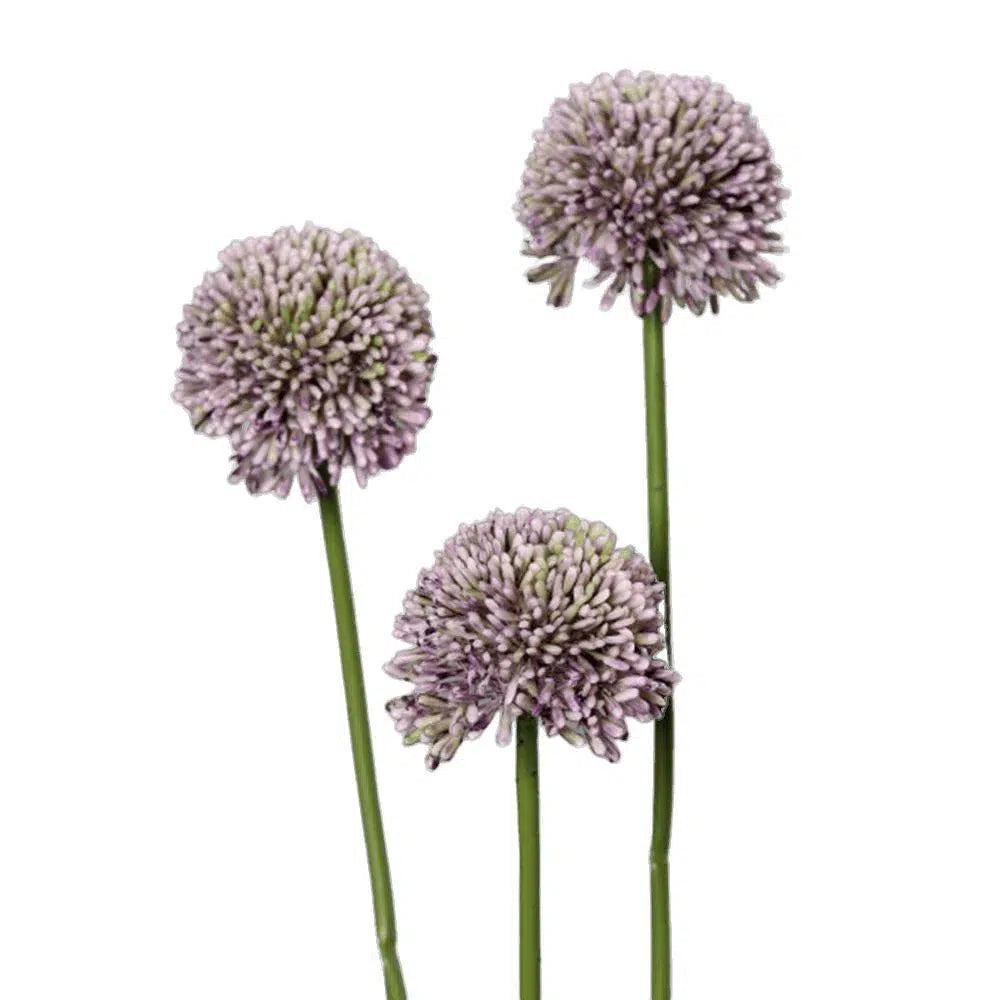 Künstlicher Zierlauch - Agathe, 45 cm