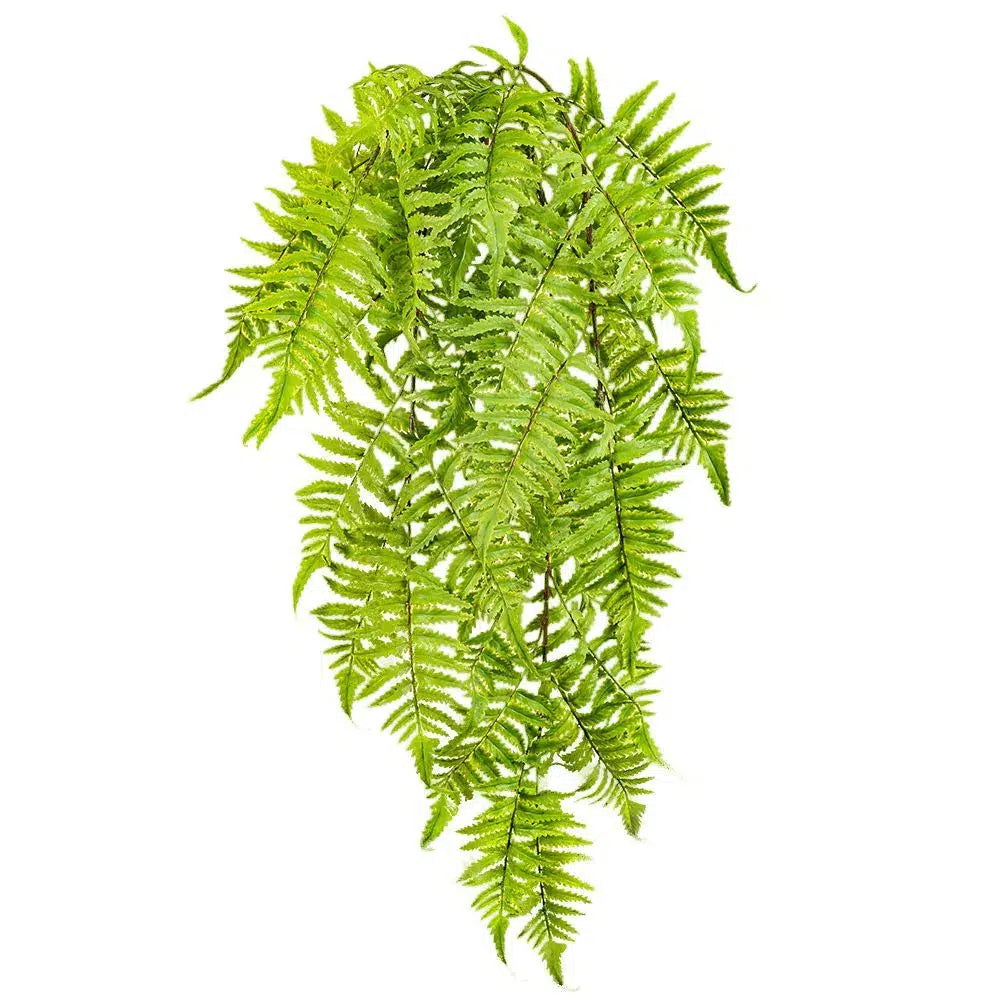 Künstlicher Zimtfarn - Zadora, 60 cm