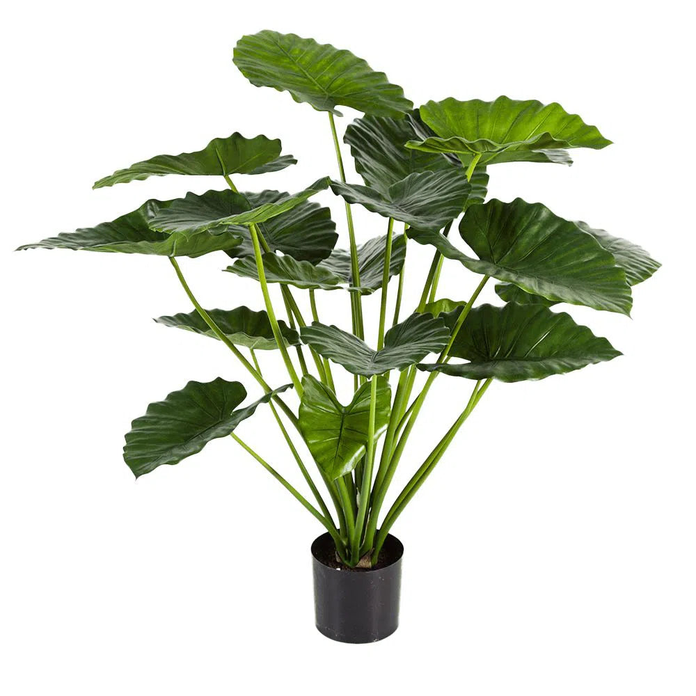 Künstliches Alocasia - Aluna, 75 cm