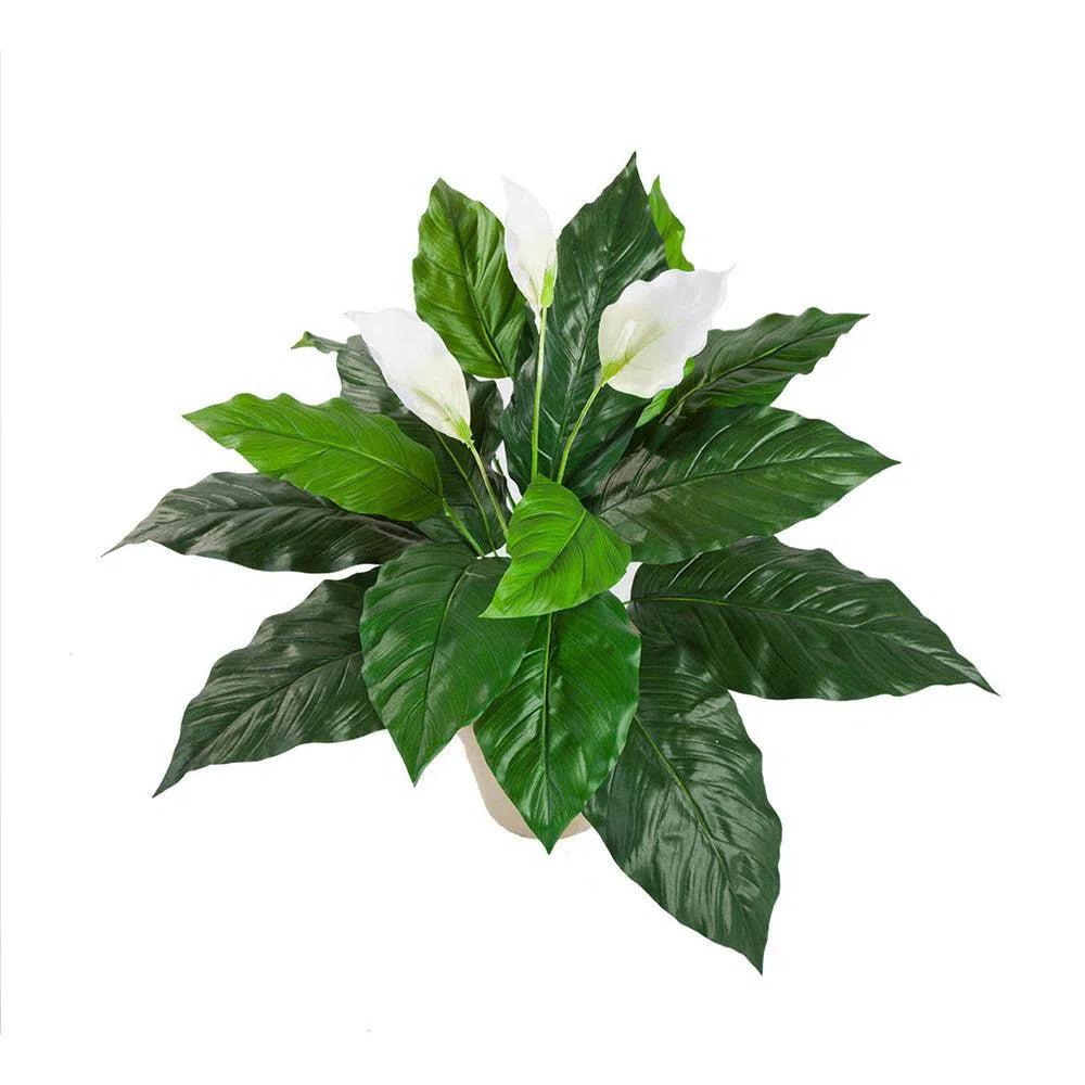 Künstliches Einblatt (Spathiphyllum) - Sofia, 70 cm - ohne Topf